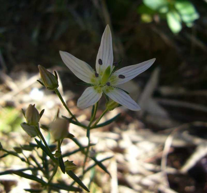 P1170806