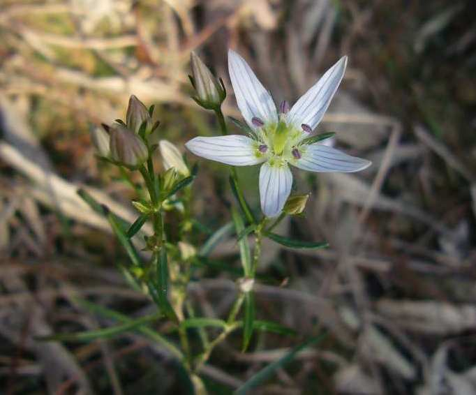 P1170840
