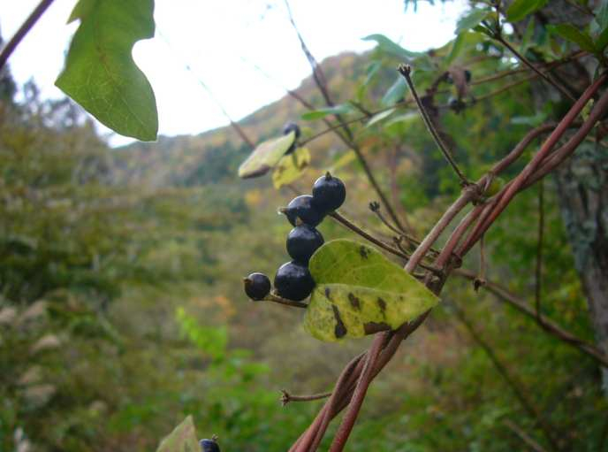 P1180062