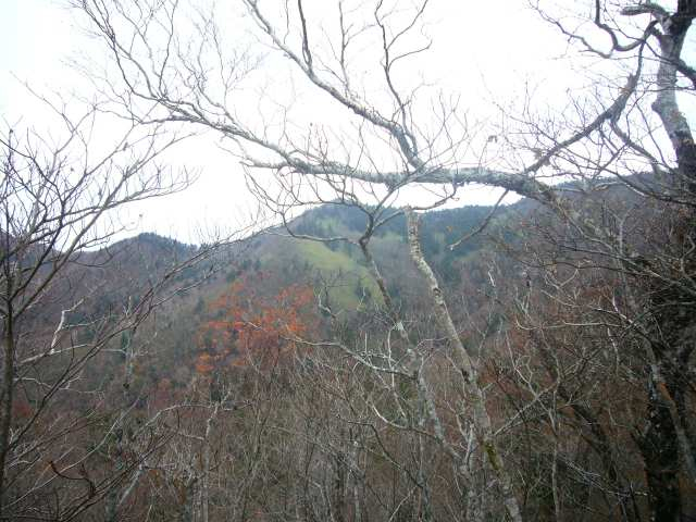 P1180107