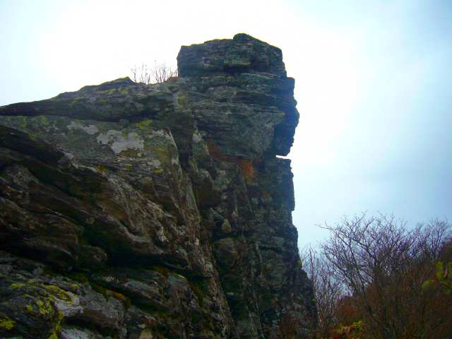 P1180153