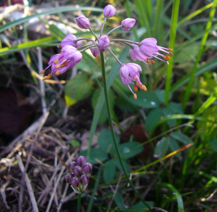 P1180359