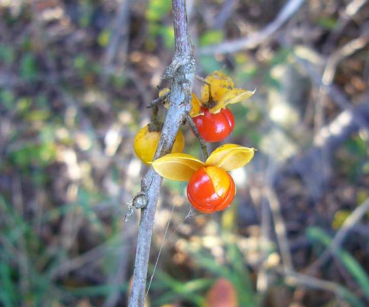 P1180341