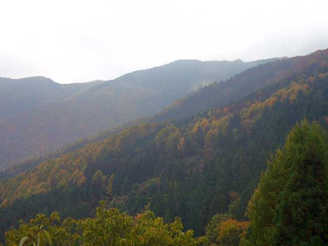 P1180485