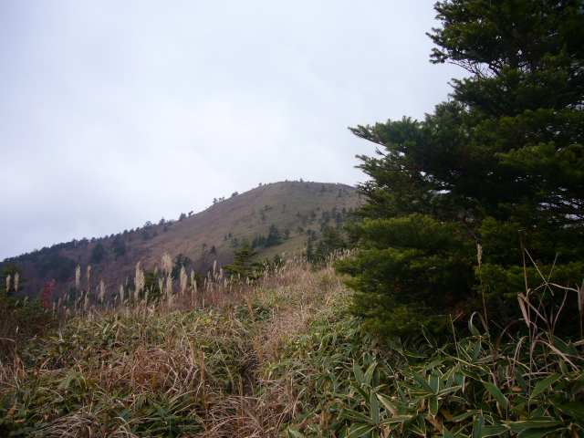 P1180540