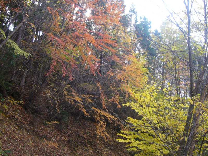 P1180581