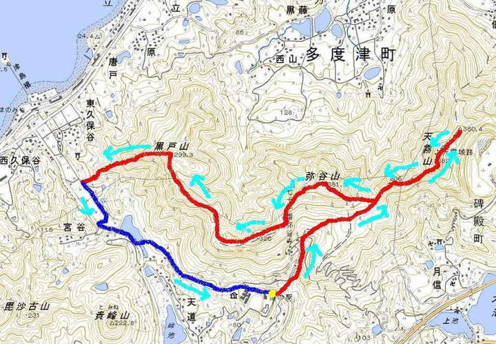 51332555