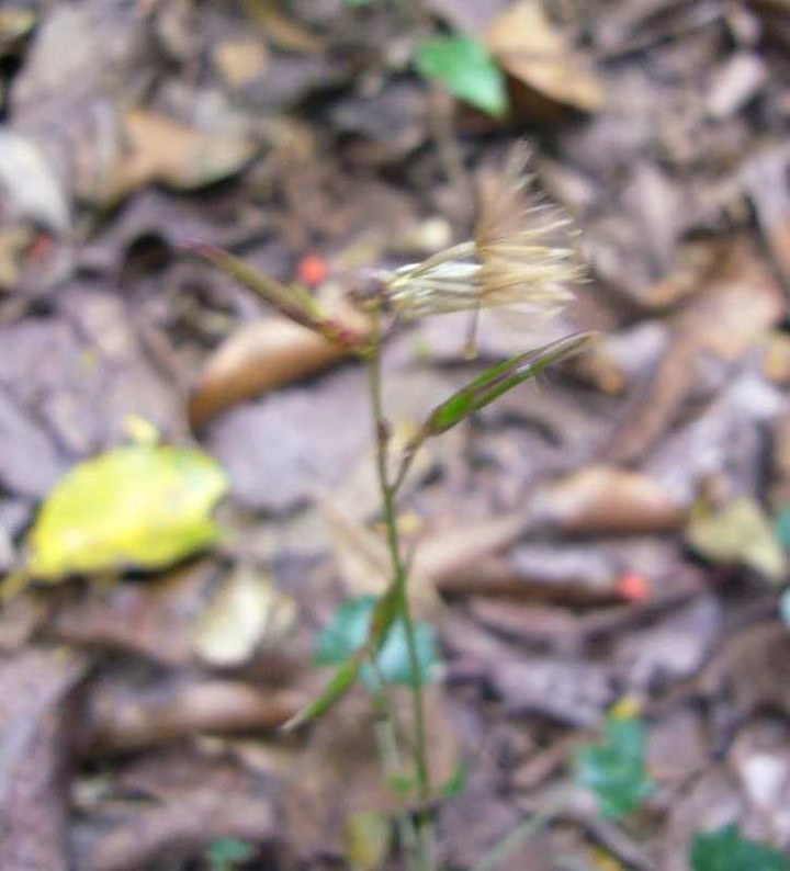 P1180721