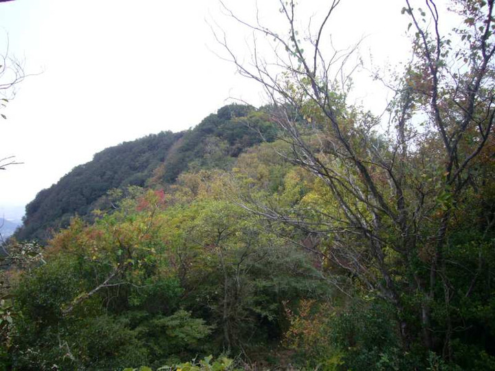 P1180773