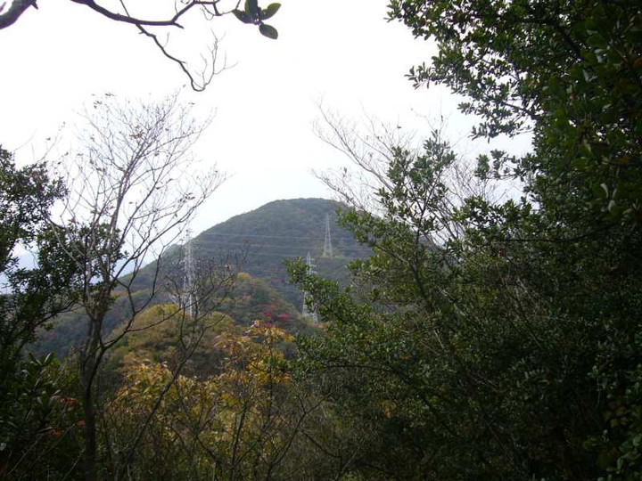 P1180787