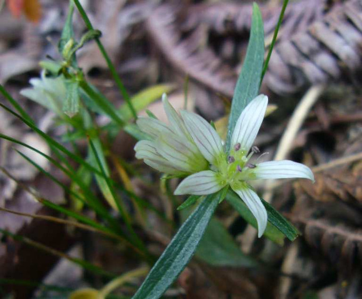P1180845