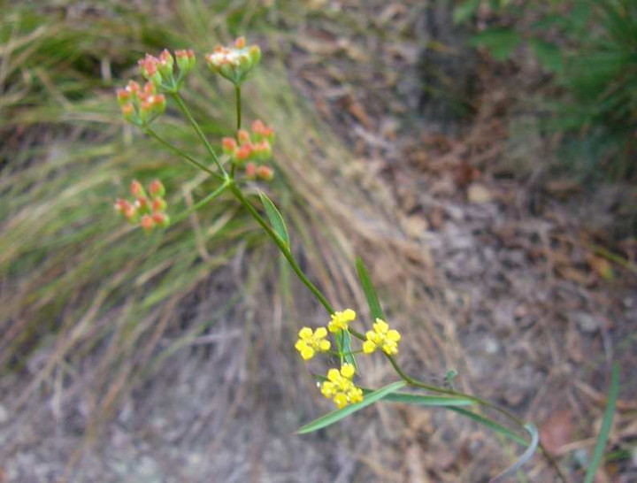 P1180863