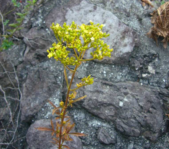 P1180874