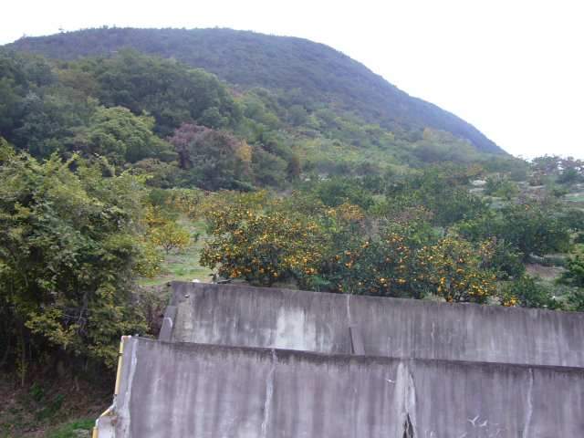 P1180891