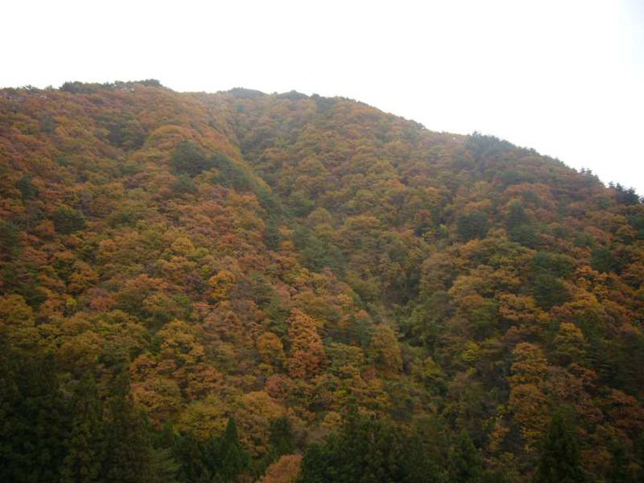 P1190023