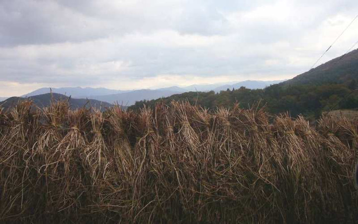 P1190050