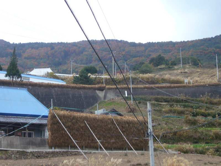 P1190054