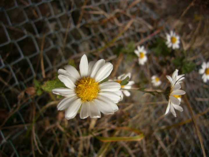 P1190088