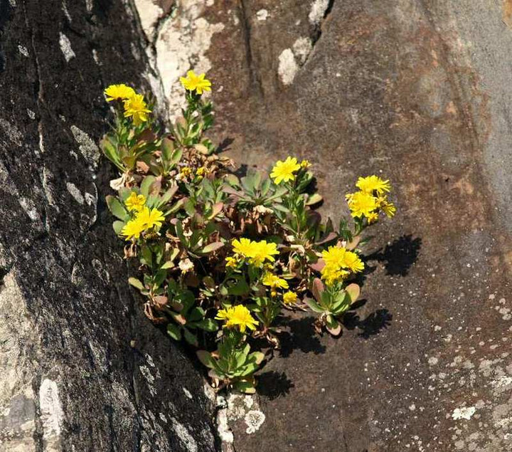 Pc130769azetouna_apppu