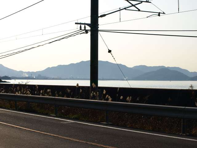 P1142176syounaihanntou