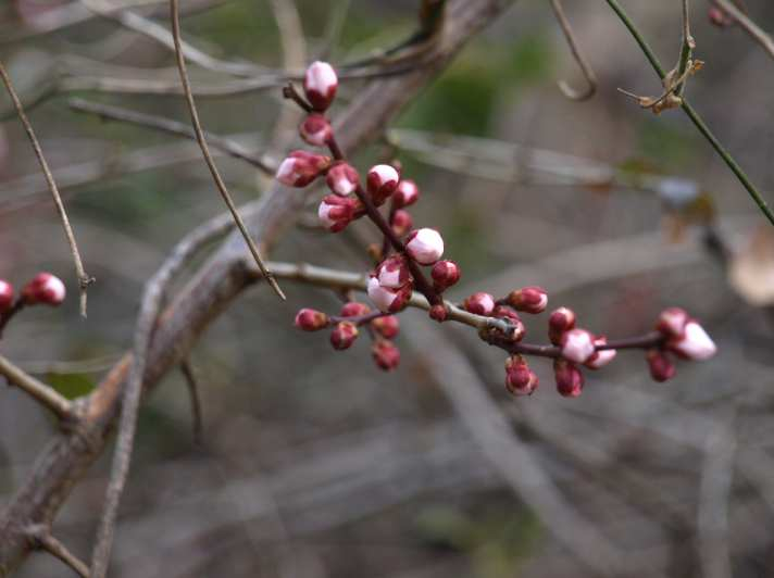 P3014530