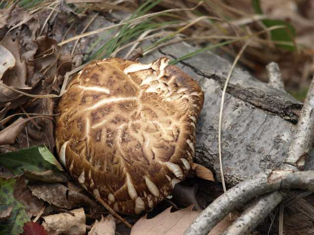 P3014486
