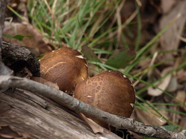 P3014487