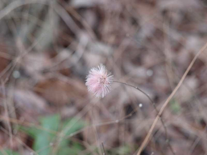 P3014513