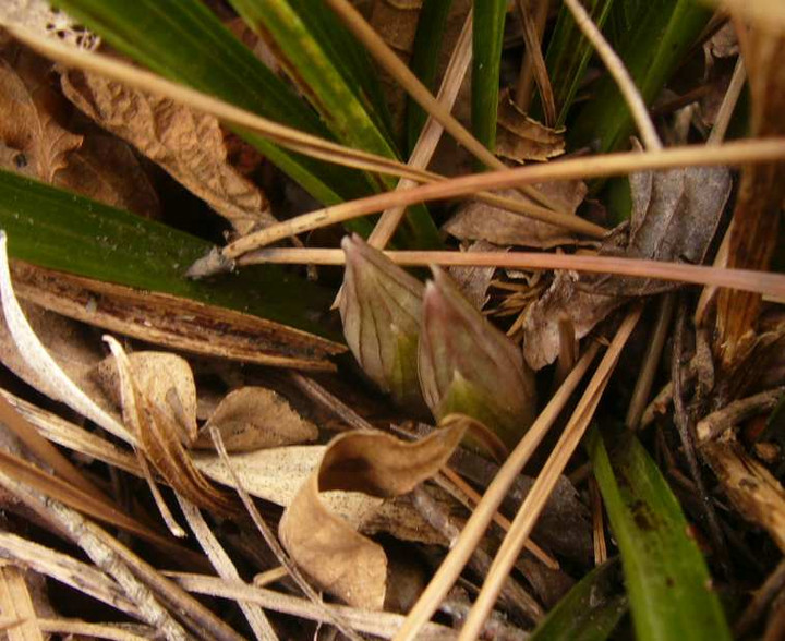 P1200543