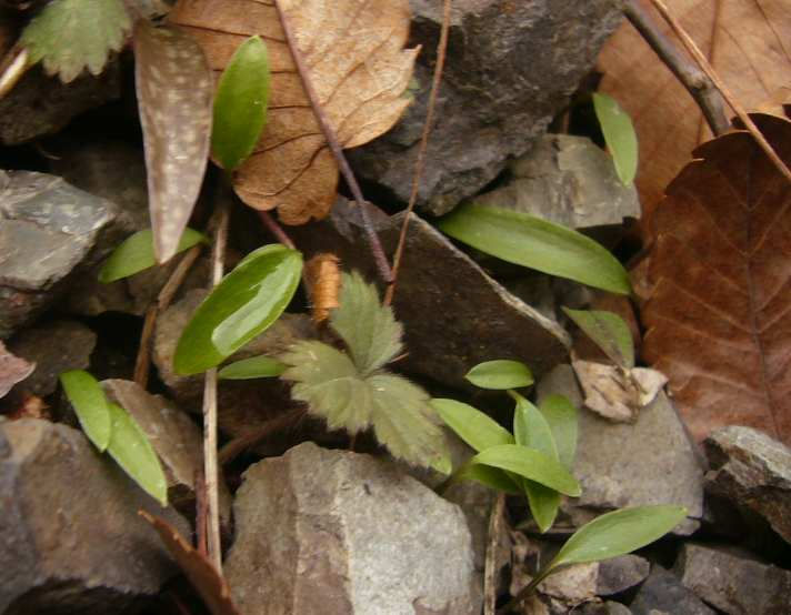 P1200553