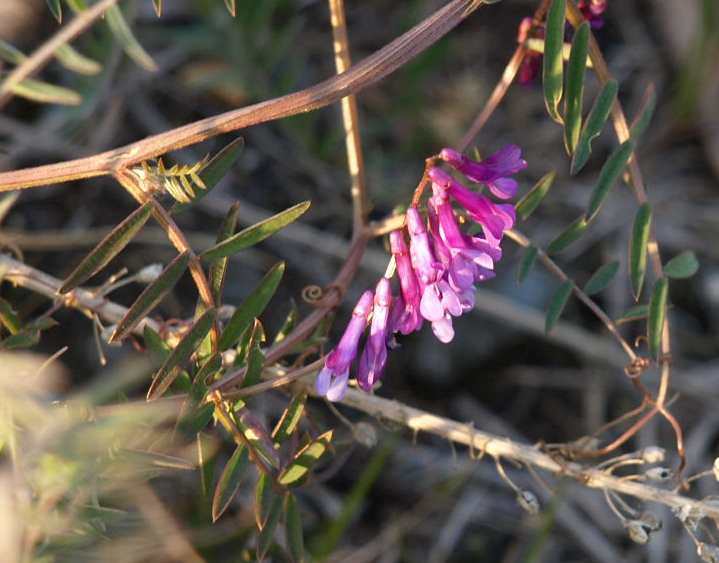 P3095061
