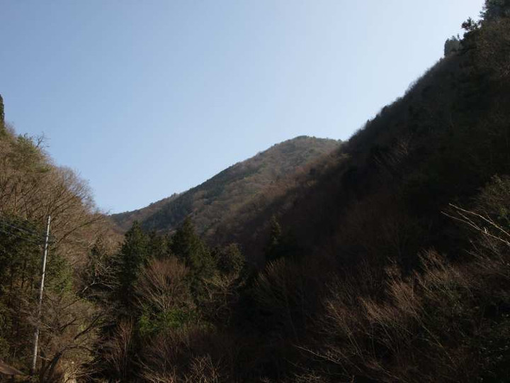 P3145600