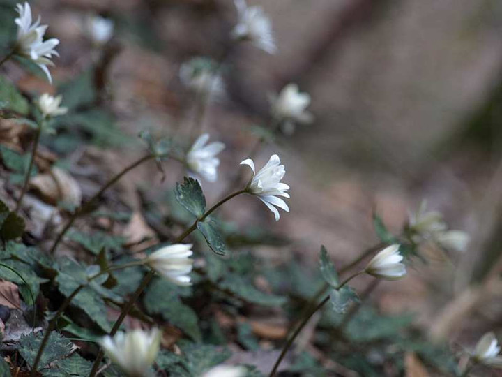 P3145700