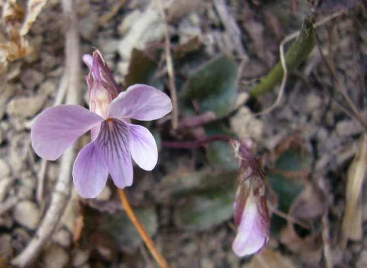 P1200617