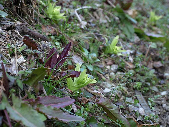 P3145798
