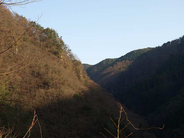 P3145805