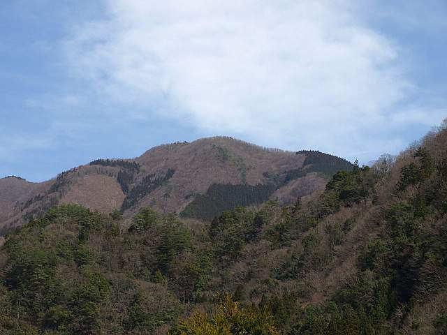 P3216423_2