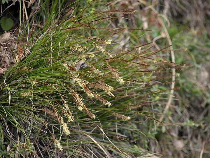 P3216693