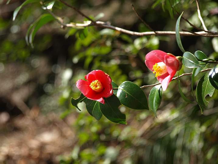 P3216806