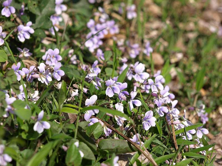 P3257393