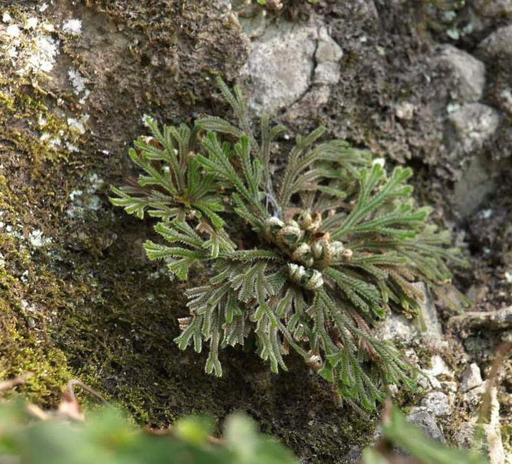 P3257403