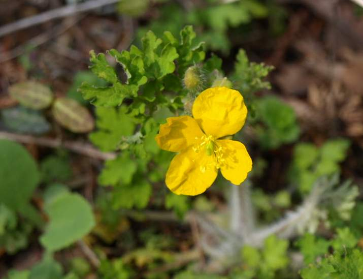 P3277817