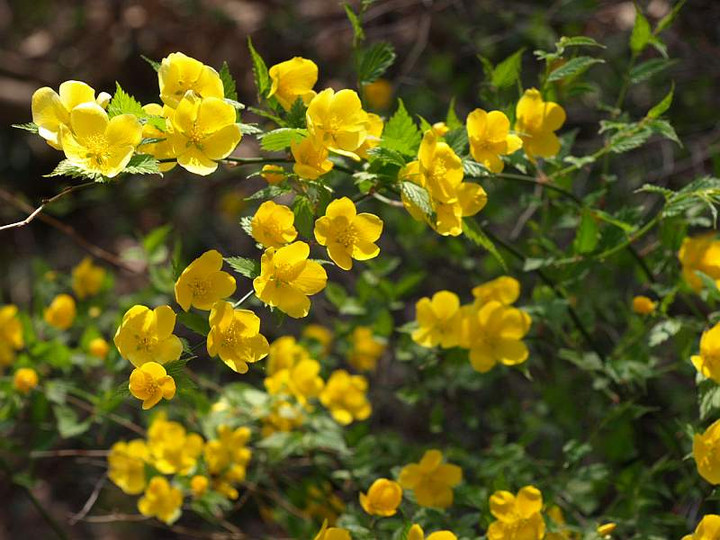 P3287881