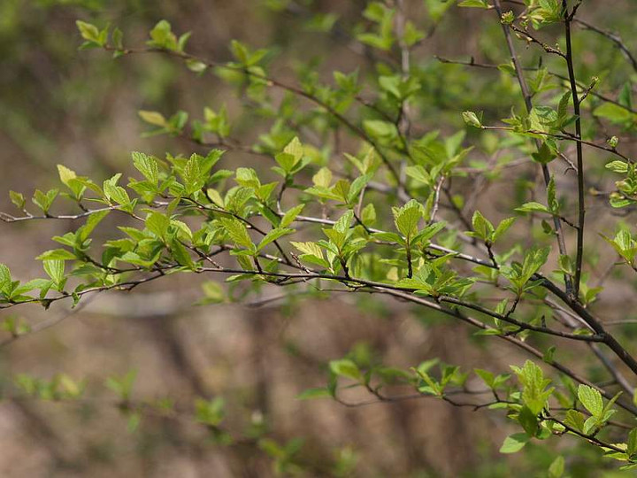P3287899