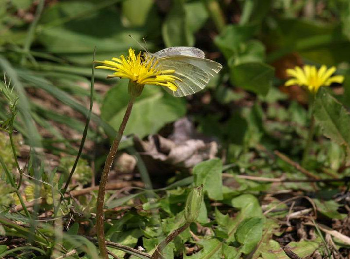 P3287943
