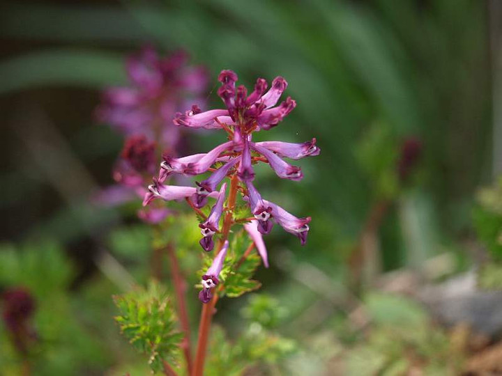 P3287961