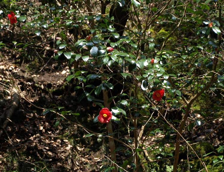 P4079272