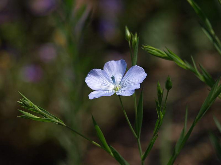 P4130555