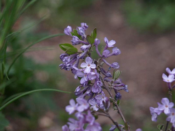 P4120530