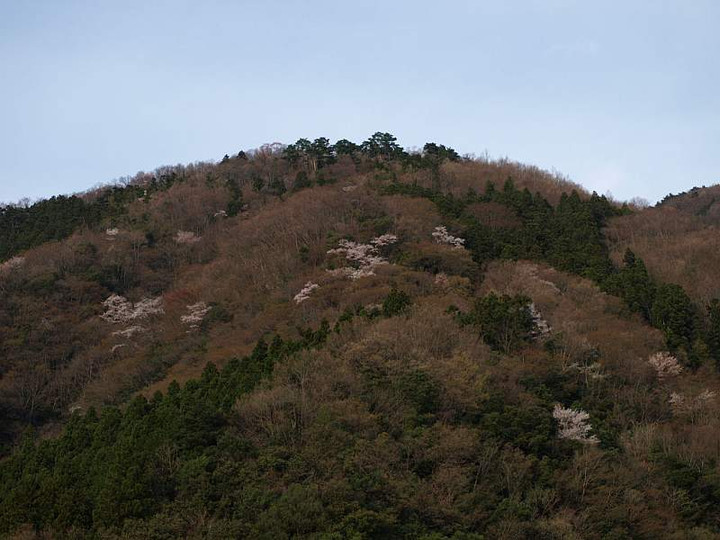 P4110399